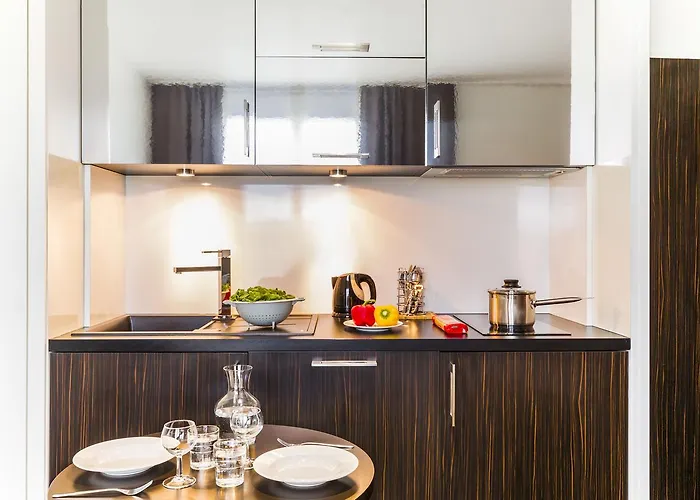 Adagio Centre 3* גרנובל