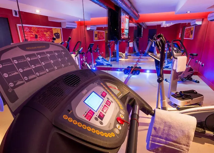 Adagio Centre 3* גרנובל