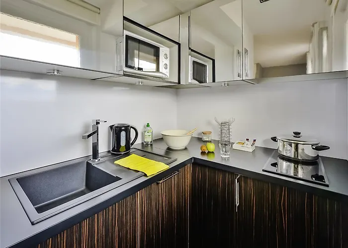 Adagio Centre 3* غرونوبل